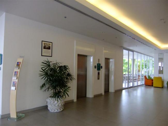 DSCF8013 (Medium).JPG